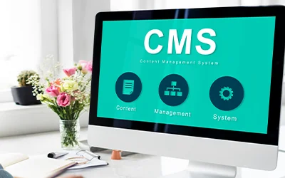 CMS Website Design Services in the USA 