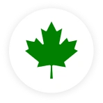 Green maple leaf logo