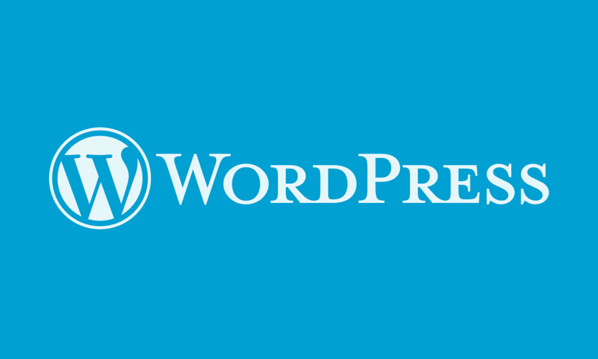 WordPress eCommerce website developement in India perfectionGeeks  