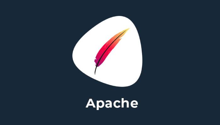  apache web server services in india PerfectionGeeks