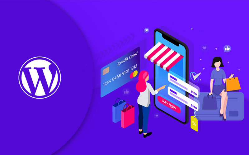 WordPress for e-commerce  website services in singapoore PERFECTIONGEEKS