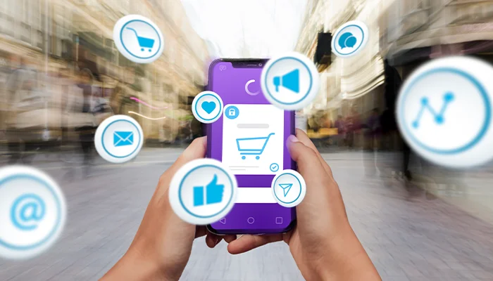 Cost to Develop an E-commerce App like Purplle